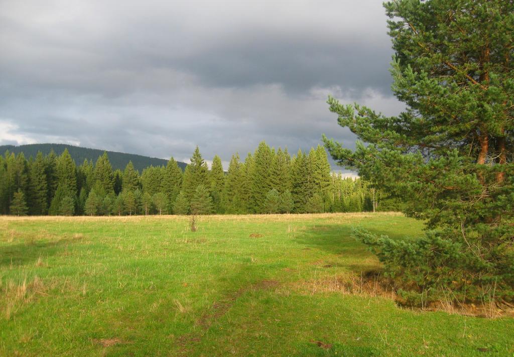Ubytování na Slučím Tahu Prasily Esterno foto