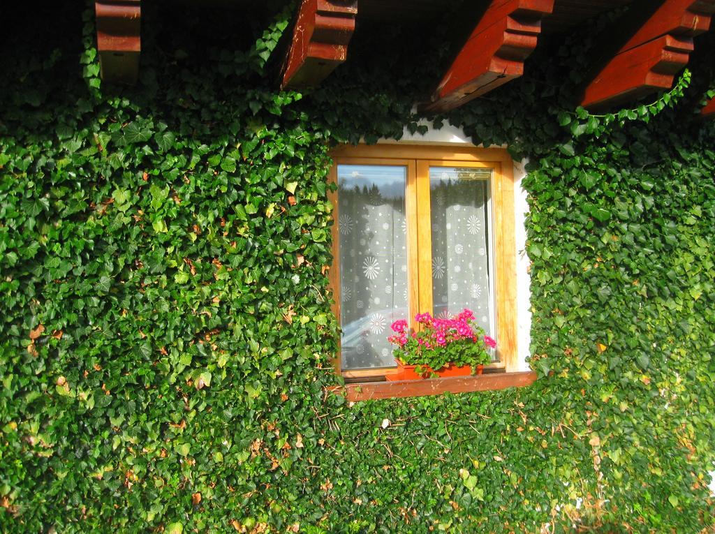 Ubytování na Slučím Tahu Prasily Esterno foto