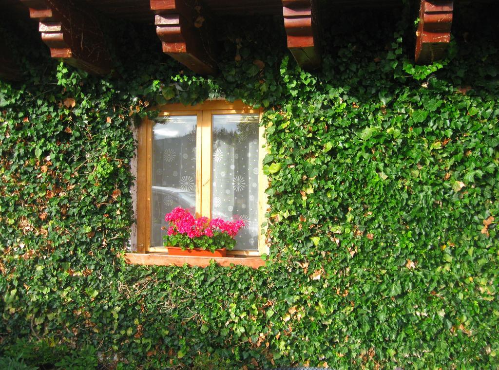 Ubytování na Slučím Tahu Prasily Esterno foto